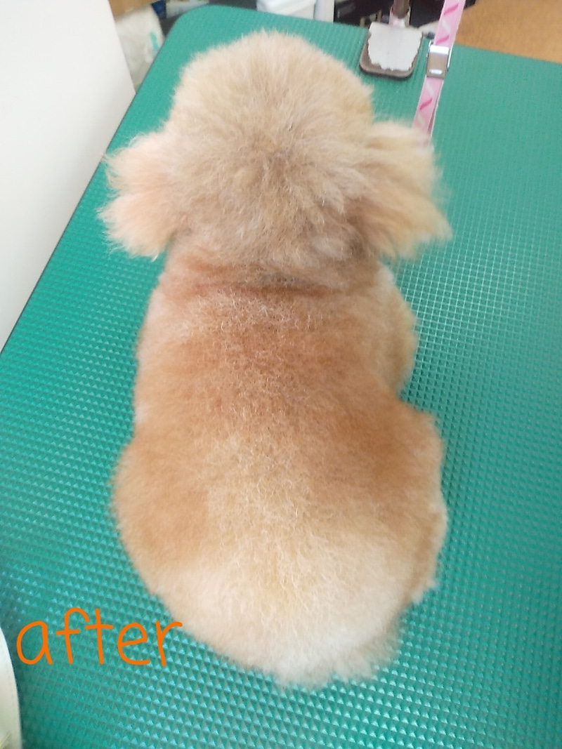 施術の事例アフター