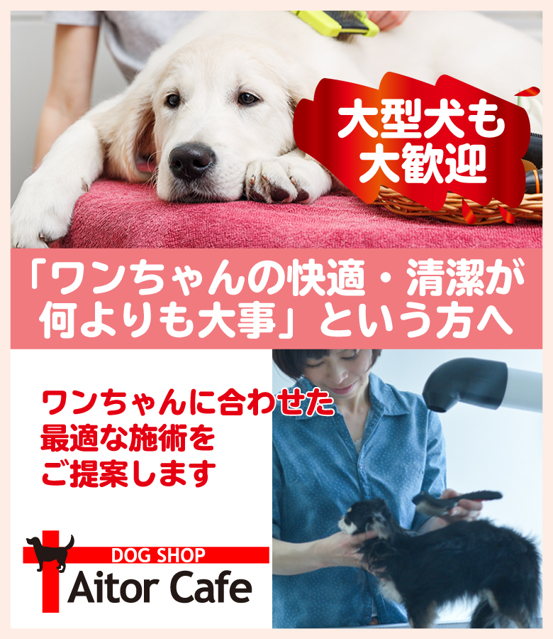 「ワンちゃんの快適・清潔が何よりも大事」という方へ